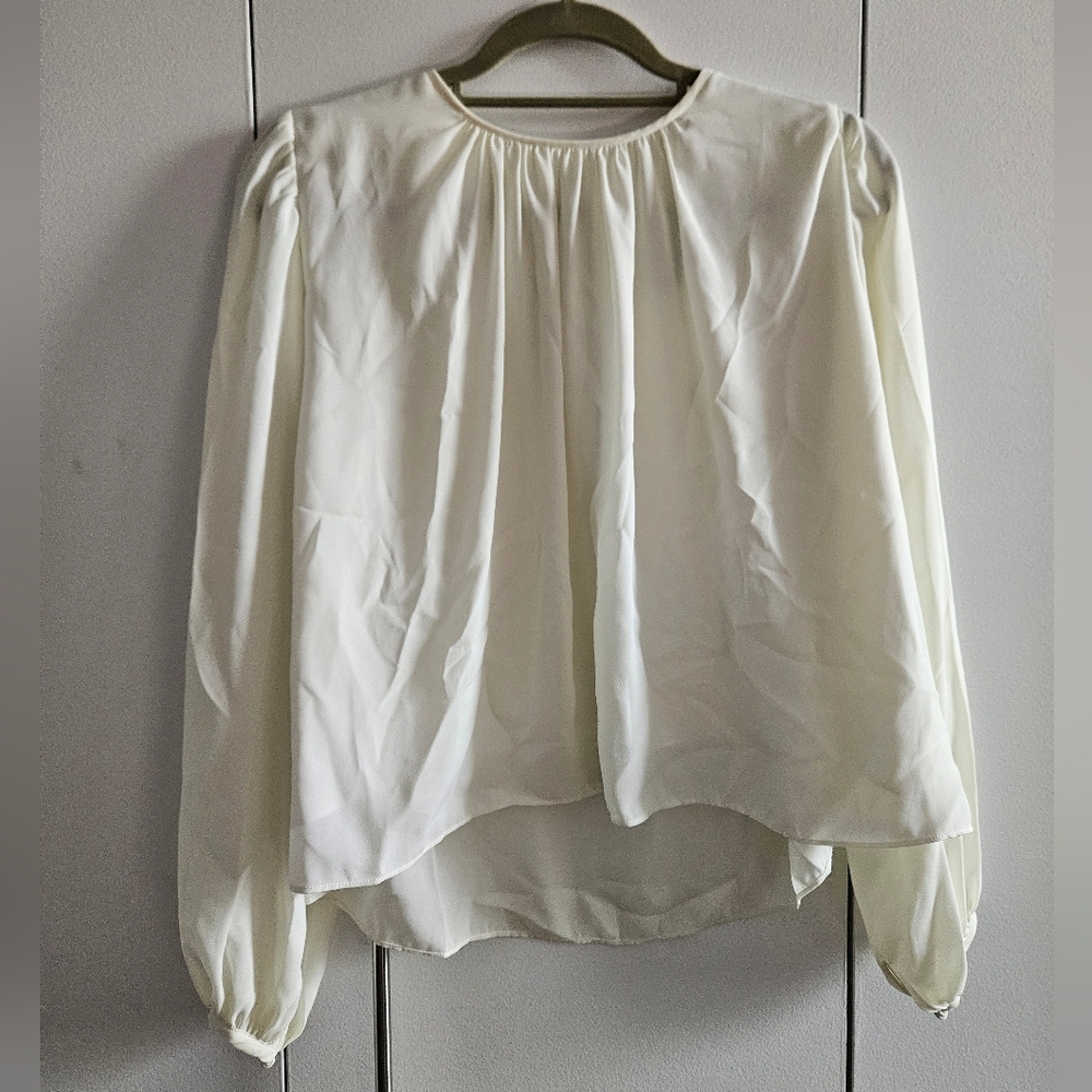Modern Citizen Size Small Feminine Blouse In Light Mint Green Color